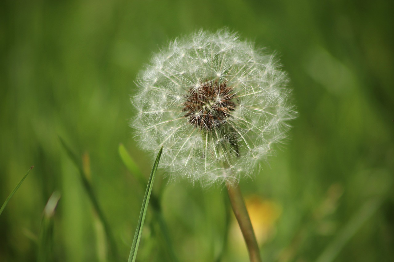 10 Easy Crafts to Celebrate Spring